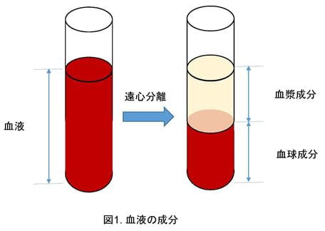 血液成分